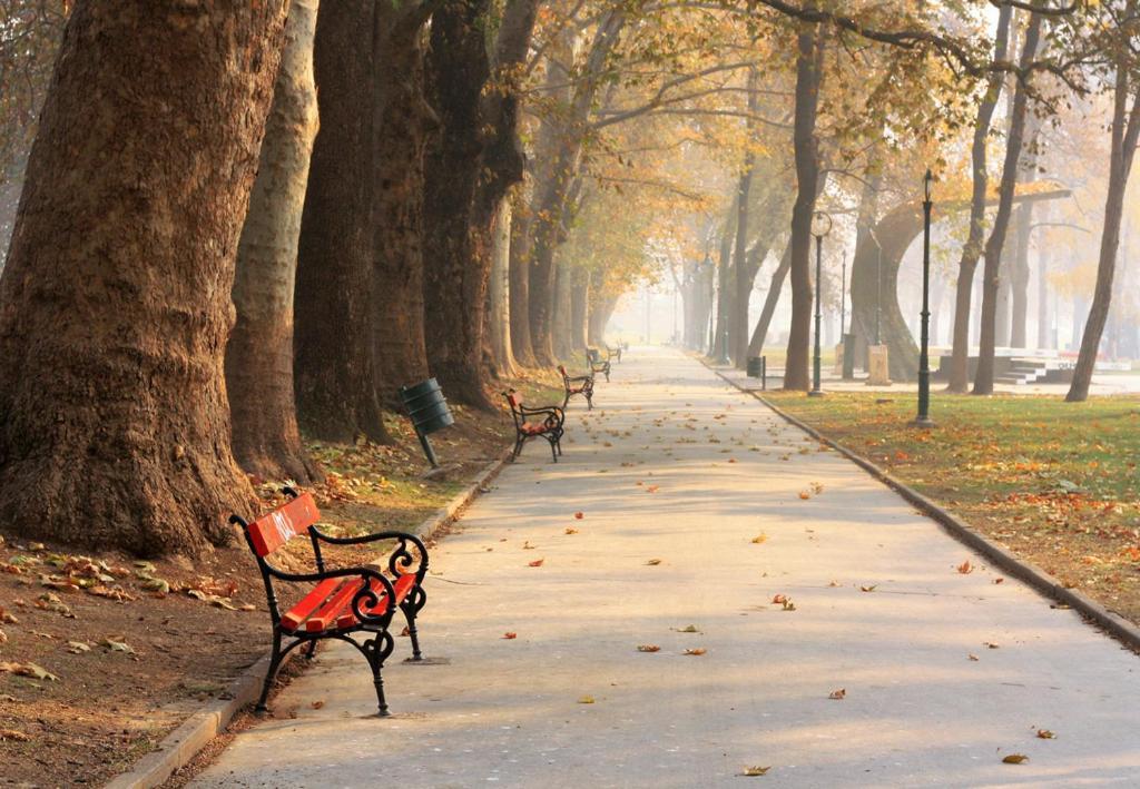 스코페 Bohemian Quarter / City Park, Free Parking 아파트 외부 사진